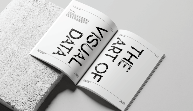 The Art of Visual data brand guidelines book