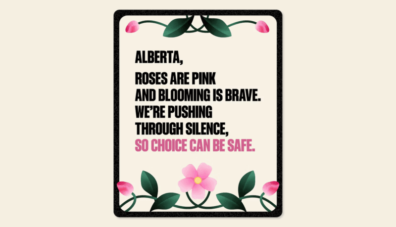 AB for Abortion digital assets
