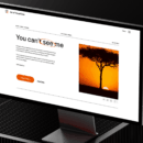 Desktop computer mockup of The Art of Visual Data website